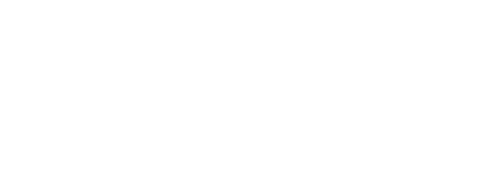 IEEE CIS Logo